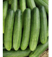 Cucumber / Kakri F1 Kanhaa-24 10 grams